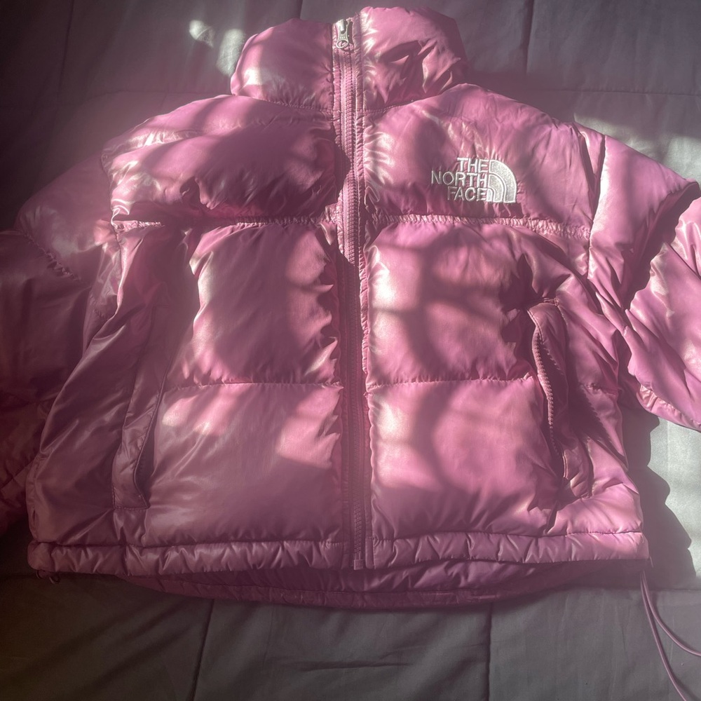 women’s purple north face 700